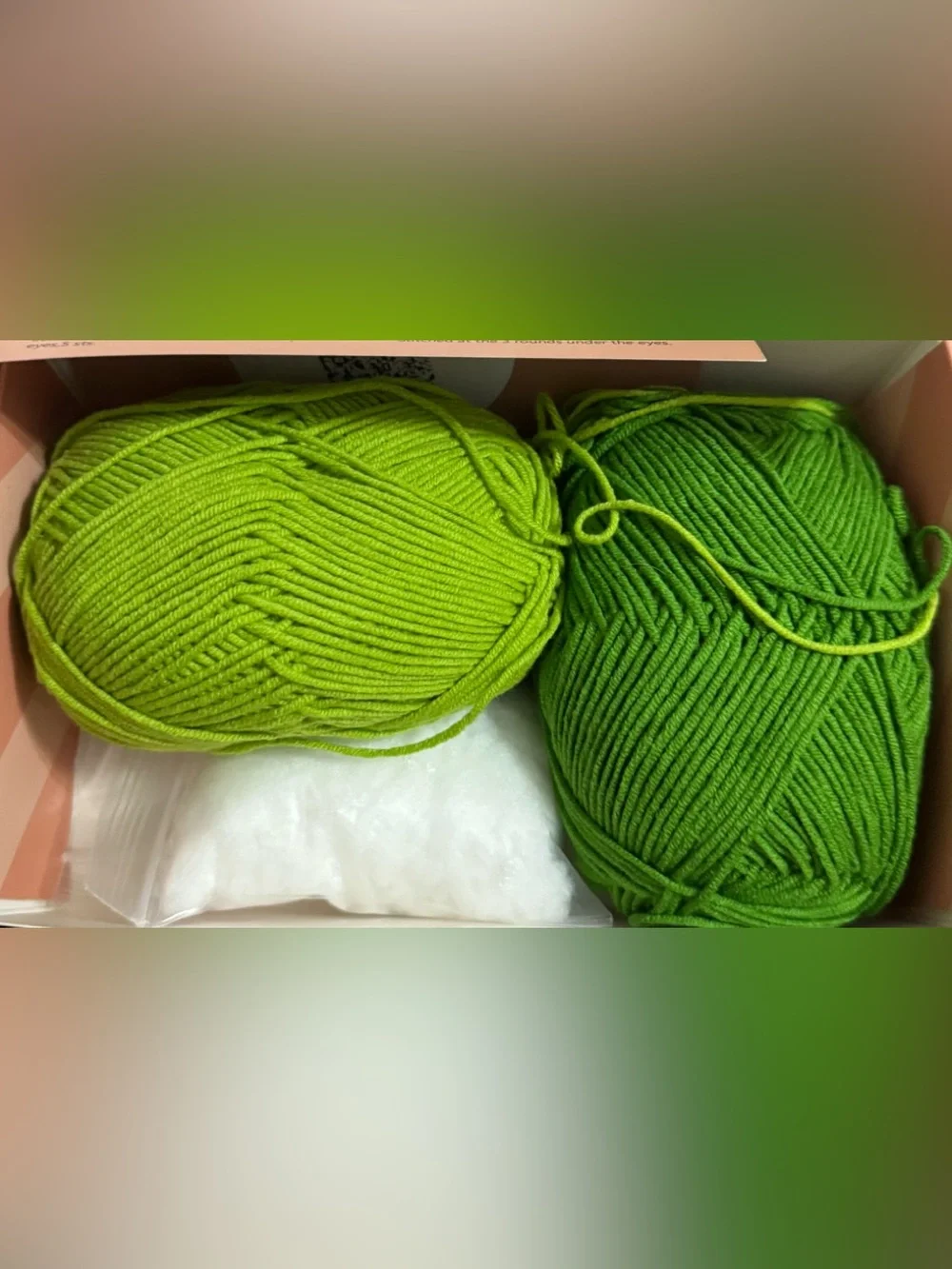 Wiiken Crochet Green Dinosaur Kit